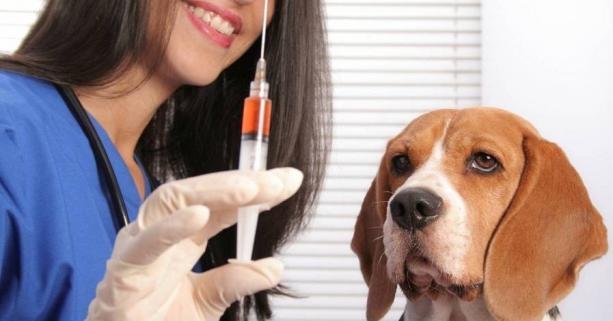 Тиждень обізнаності про Сказ (26 лютого-1 березня)