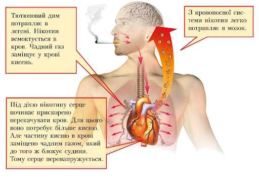 Вплив куріння на здоров’я